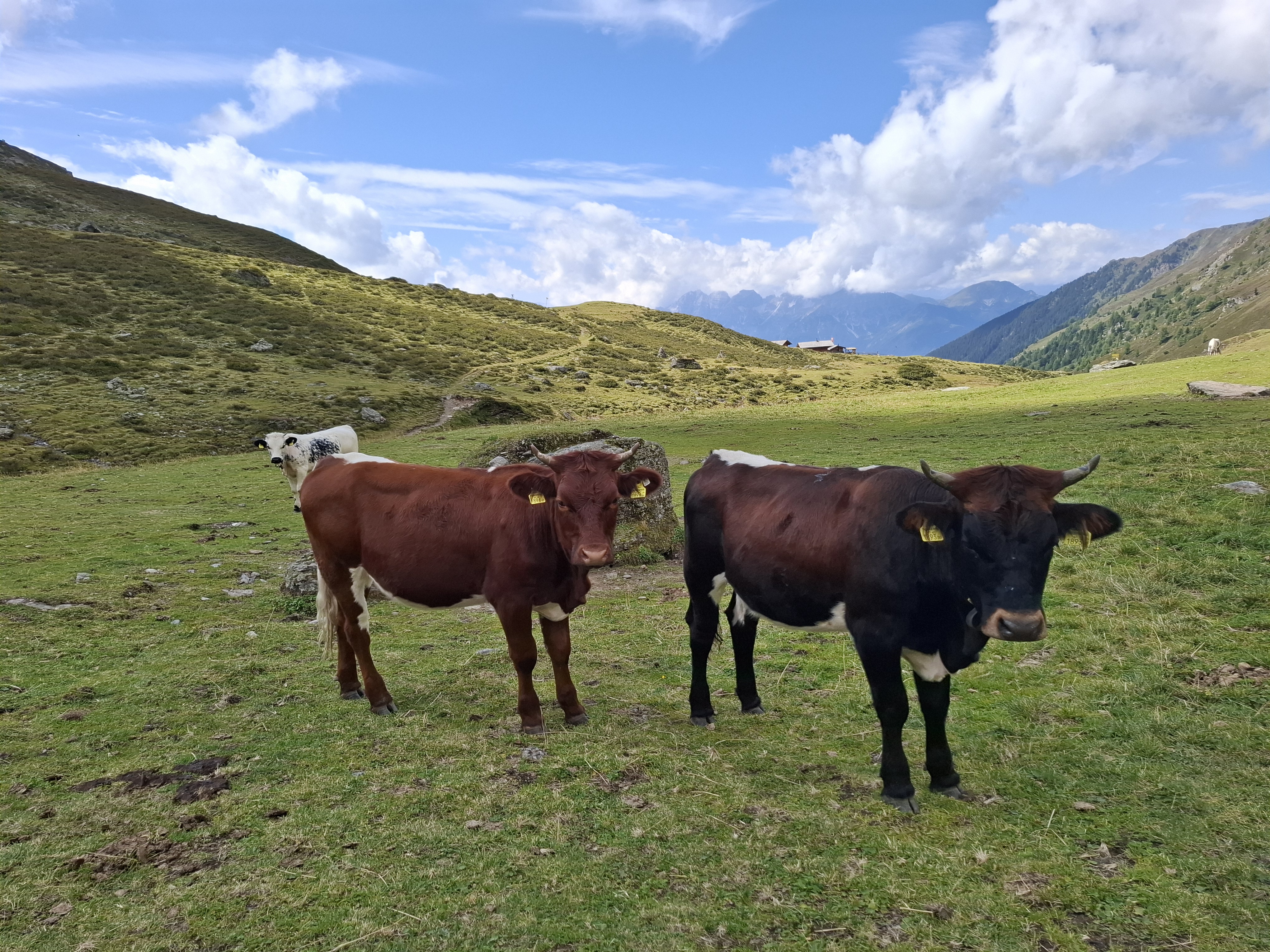 Letno srečanje ERFP v Innsbrucku 2025 | Genska banka